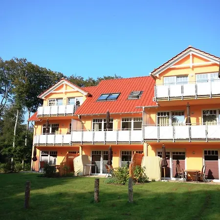 Seevogel Koserow