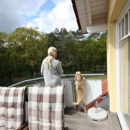 Seevogel Apartment *